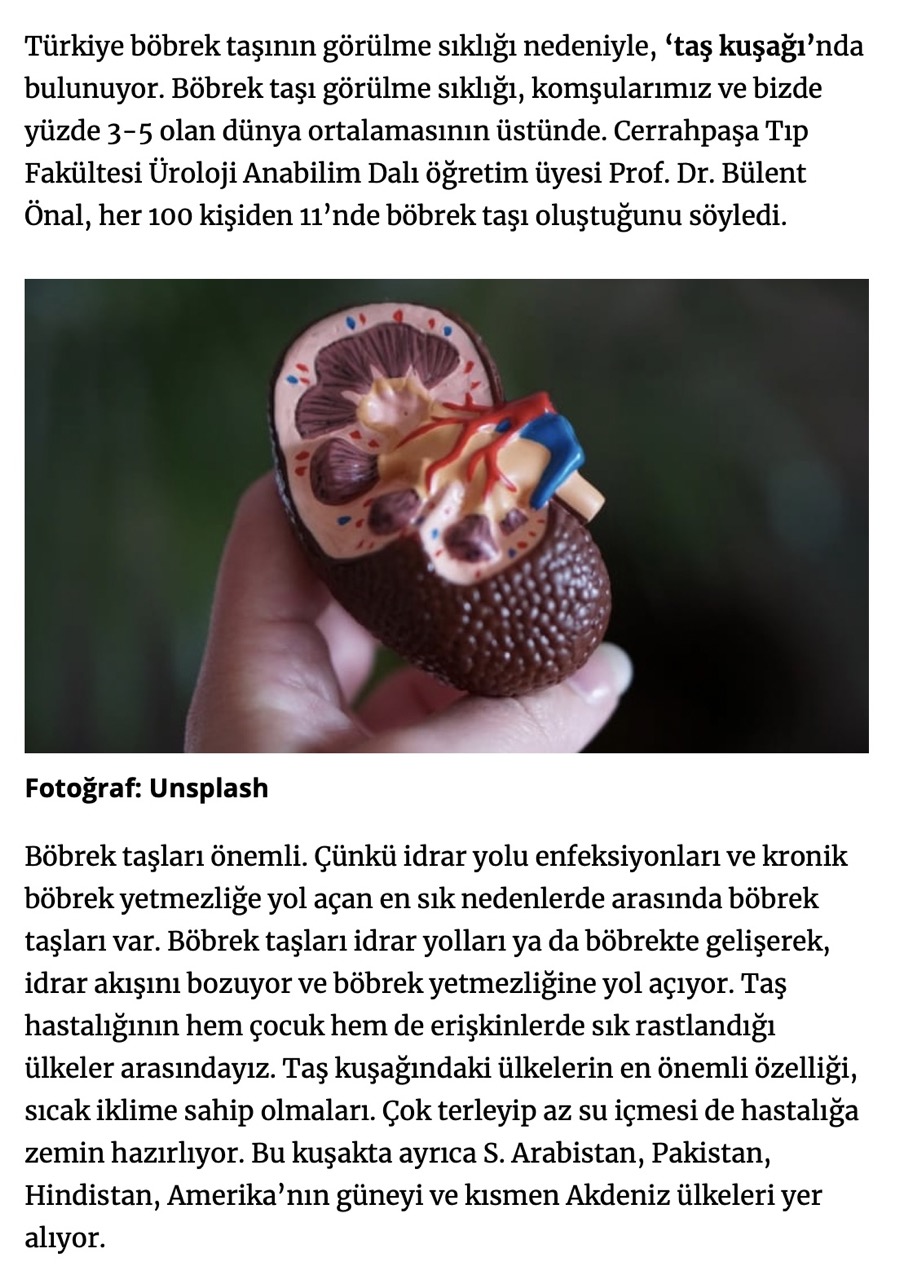 Türkiye’de her 100 kişiden 11’inde böbrek taşı var